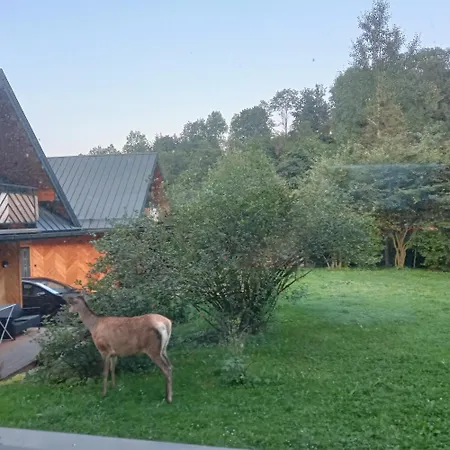 Przy Skwerku Domek alpejski